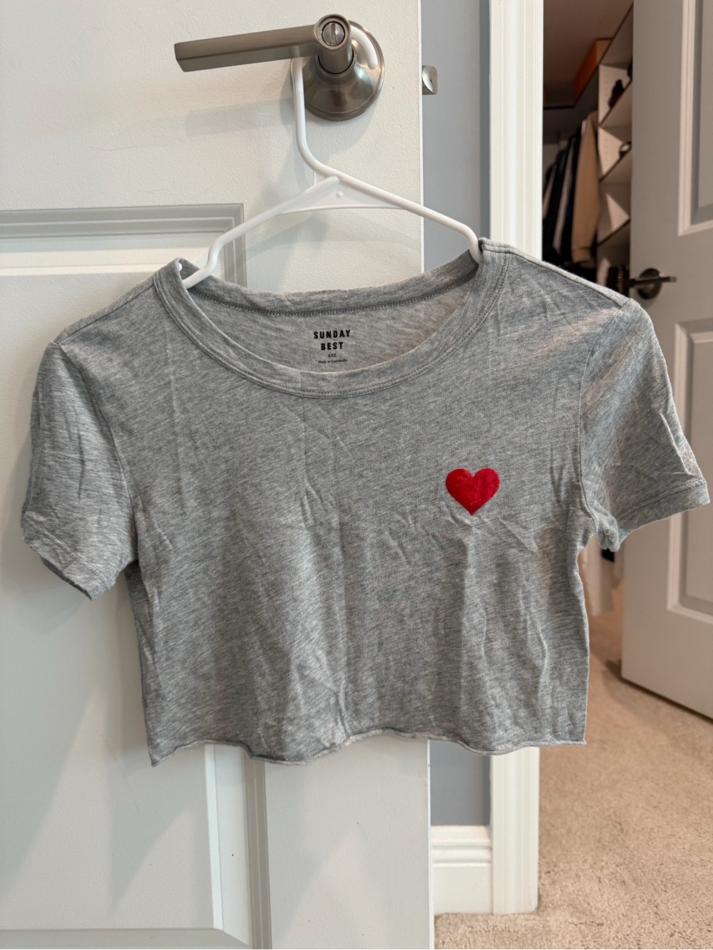 Aritzia Sunday Best Gray Cropped Tee with Red Heart-XXS